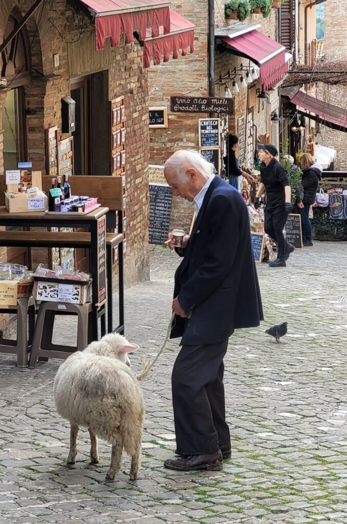Mies tummassa puvussa taluttaa lammasta hihnassa italialaisessa kylässä