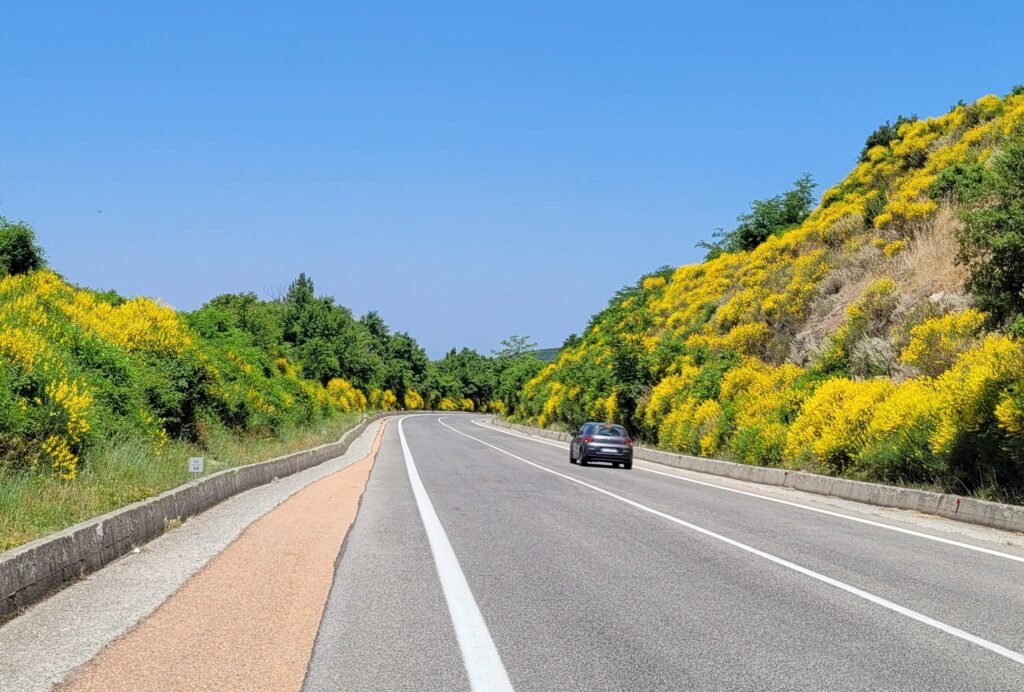 Minne matkustaa Euroopassa. Sardiniassa on hyvät tiet autolomalle